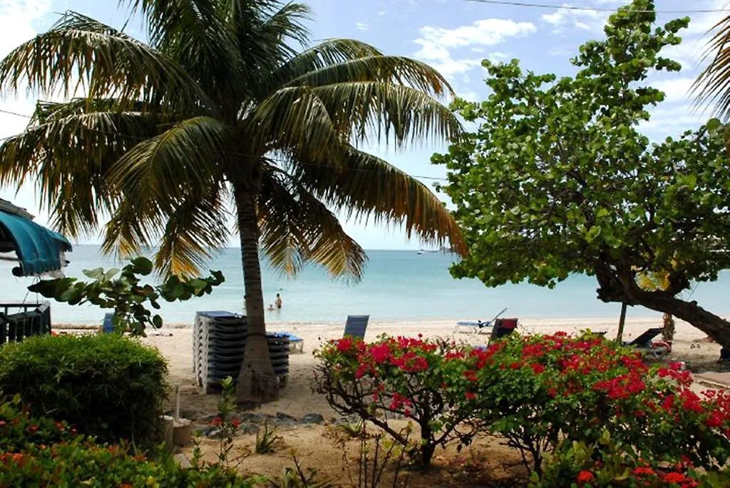 Island Beachcomber Hotel Altona 2*,  United States Virgin Islands