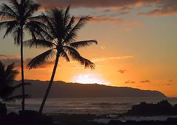 **  Island Beachcomber Hotel Altona United States Virgin Islands